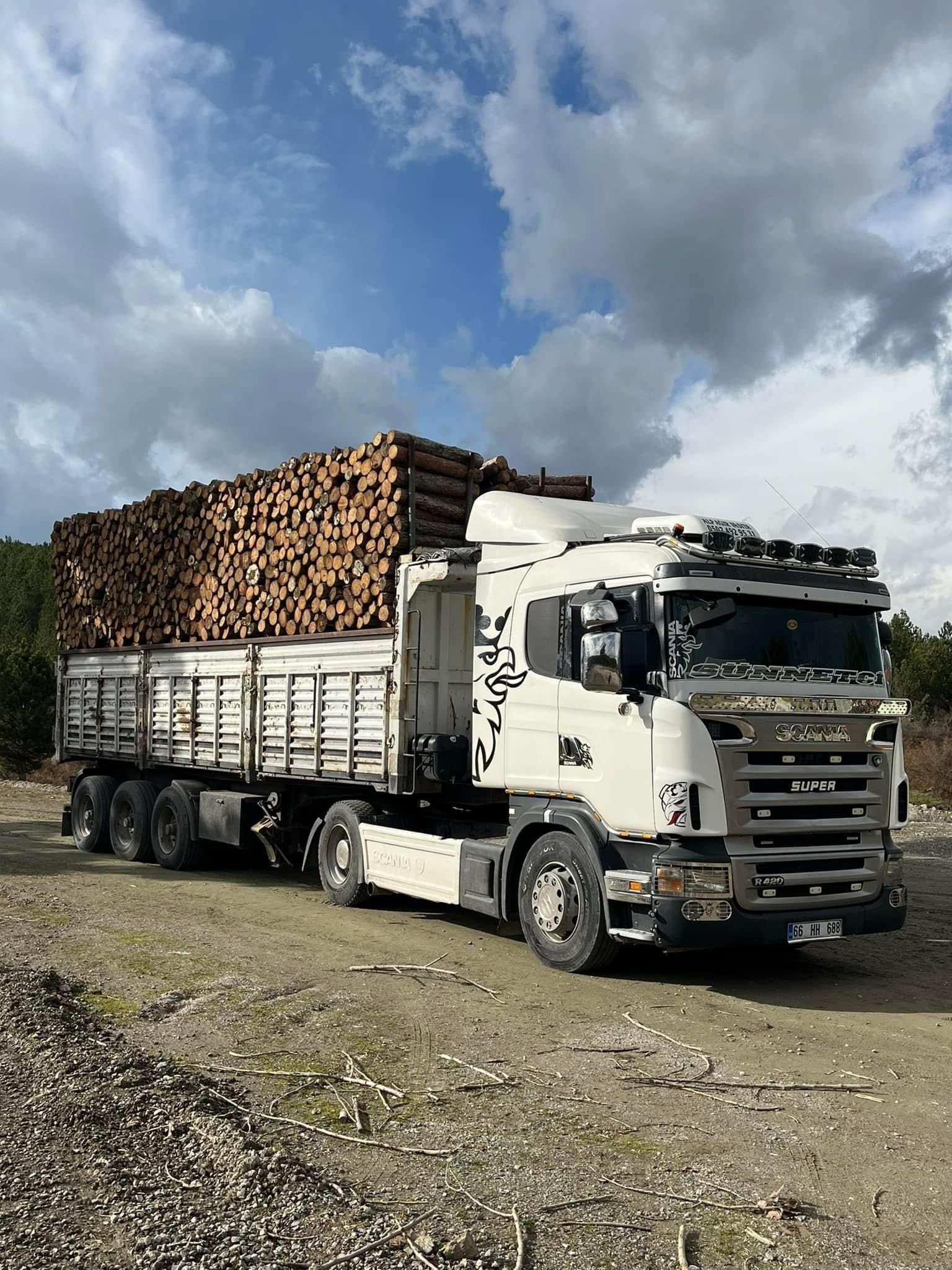 Şanver Orman Ürünleri ve Nakliye